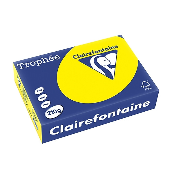 Clairefontaine sunshine yellow A4 coloured paper, 210 gsm (250 sheets) 2210PC 250102 - 1