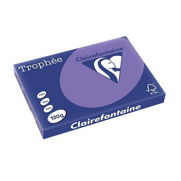 Clairefontaine violet A3 coloured paper, 120gsm (250 sheets) 1320C 250138 - 1