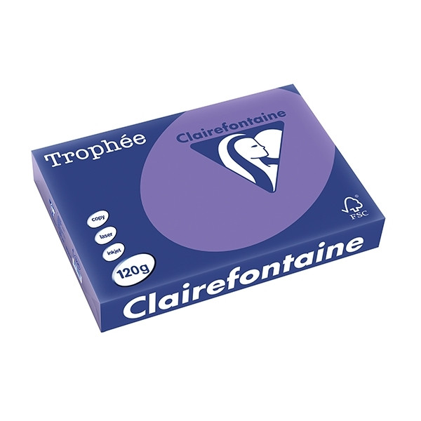 Clairefontaine violet A4 coloured paper, 120gsm (250 sheets) 1220C 250082 - 1