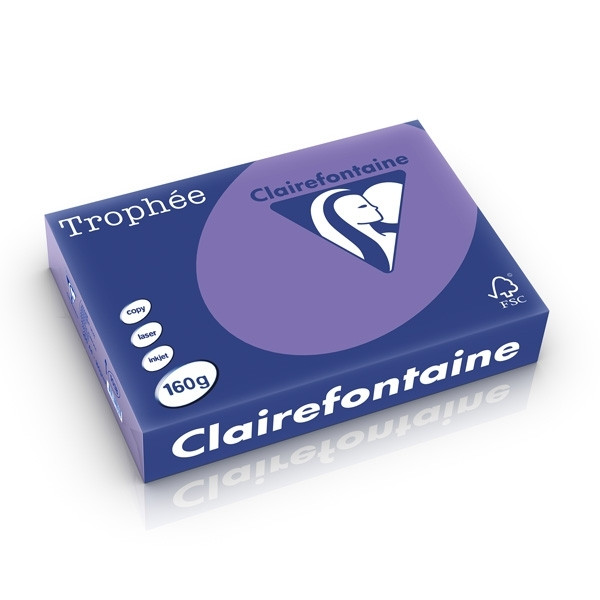 Clairefontaine violet A4 coloured paper, 160 gsm (250 sheets) 1018C 250259 - 1