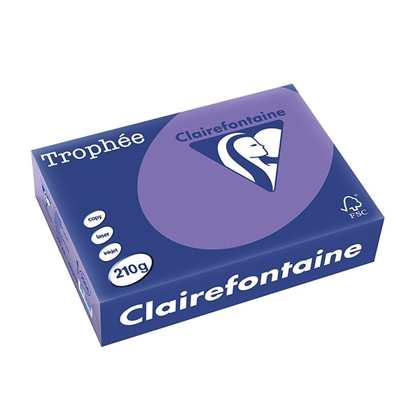 Clairefontaine violet A4 coloured paper, 210gsm (250 sheets) 2214C 250100 - 1