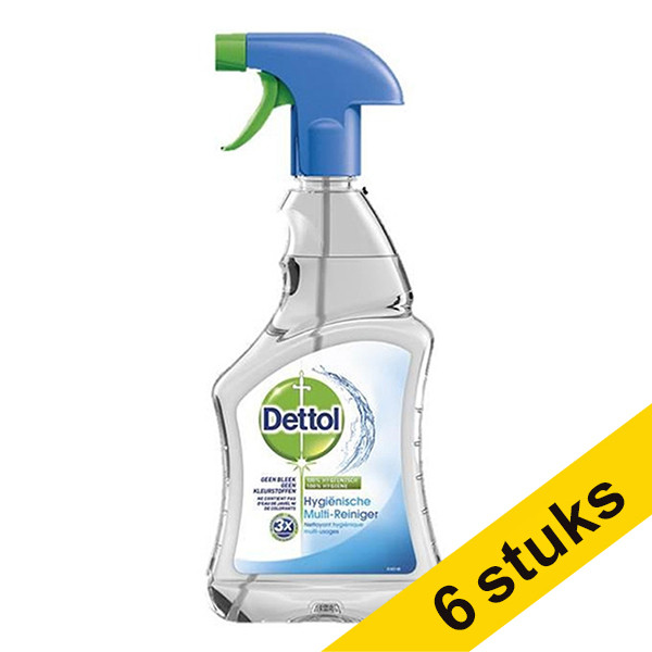 Dettol hygienic multi-cleaner, 500ml (6-pack)  SDE01019 - 1