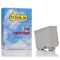 Epson T013 black ink cartridge (123ink version)