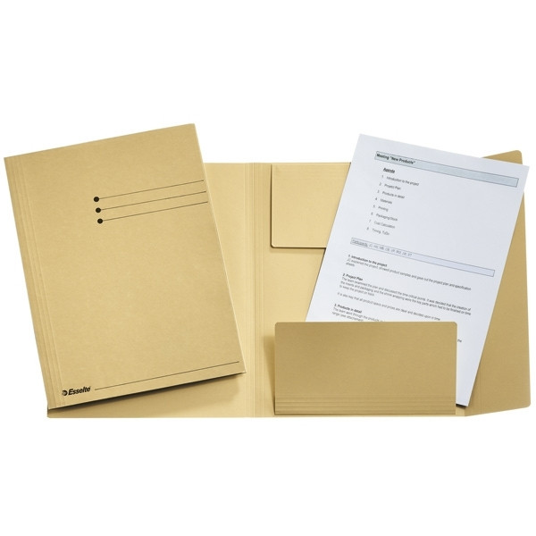 Esselte cream A4 3-flap folder with line printing (50-pack) 1033304 203562 - 1