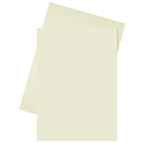 Esselte cream A4 paper insert folder (250-pack) 2103404 203582 - 1