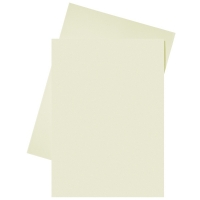 Esselte cream A4 paper insert folder (250-pack) 2103404 203582