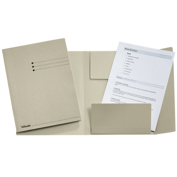 Esselte grey A4 3-flap folder with line printing (50-pack) 1033307 203572 - 1