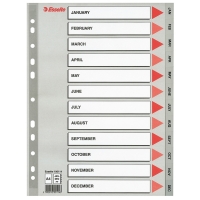 Esselte grey A4 plastic tabs with 12 month indexes (11 holes) 100114 203824