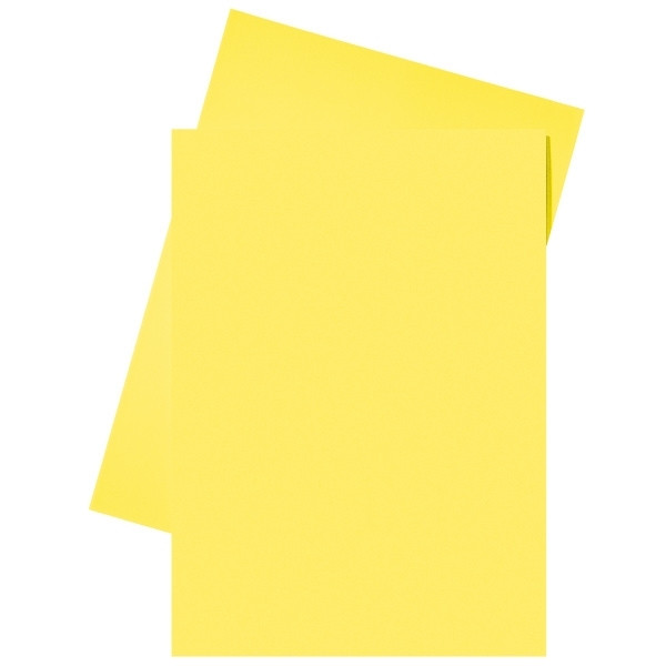 Esselte yellow A4 paper insert folder (250-pack) 2103406 203584 - 1