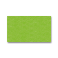 Folia light green tissue paper, 50cm x 70cm 90051 222262