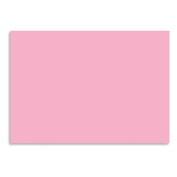 Folia light pink photo cardboard, 50cm x 70cm (25-pack) FO-612526 222022