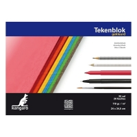 Kangaro coloured drawing pad, 24cm x 34.5cm (20 sheets) K-5588 205491