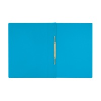 10 x Leitz Recycle blue quotation folder