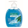 Palmolive Family Hygiene Plus Fresh hand soap, 300ml