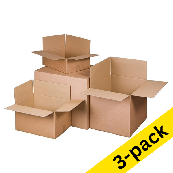 Raadhuis shipping box, 305mm x 220mm x 250mm (3 x 10-pack)  209406 - 1