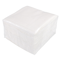 White label 2-layer white napkins (100-pack) 612650 402728