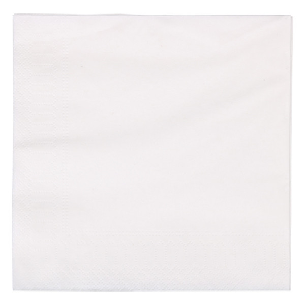 White label 2-layer white napkins (100-pack) 612650 402728 - 2