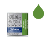 Winsor & Newton Cotman 599 sap green watercolour paint (half pan)