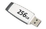 256GB